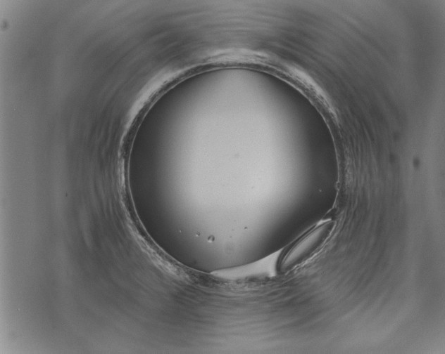 X0000073721376200608241221