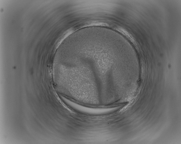 X0000073721377200608241221