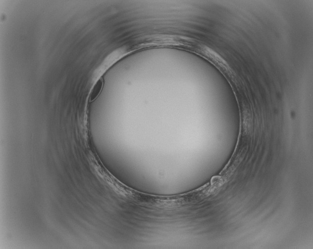 X0000073721378200608241221