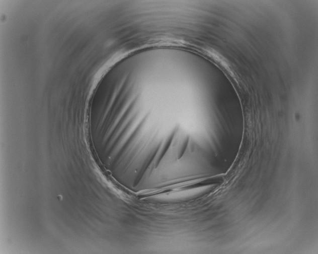 X0000073721379200608241221