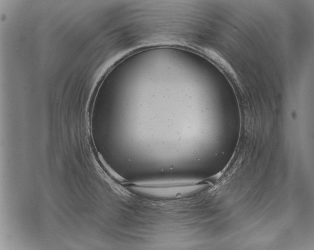 X0000073721380200608241221