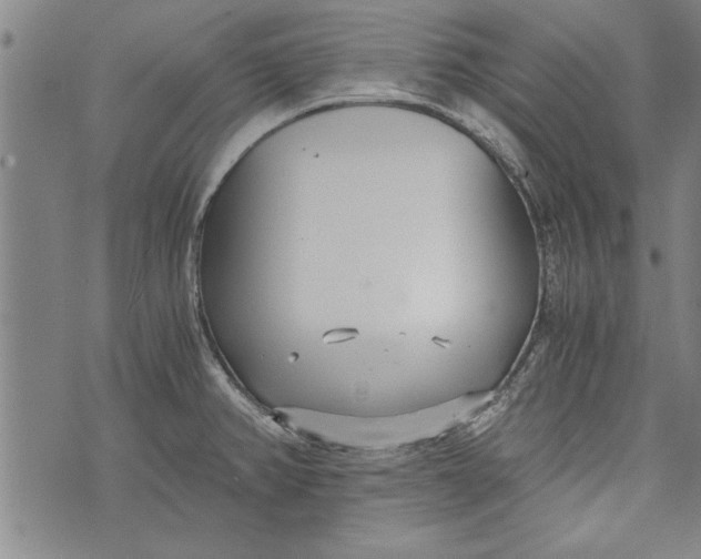 X0000073721382200608241221