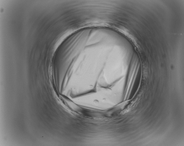 X0000073721383200608241221