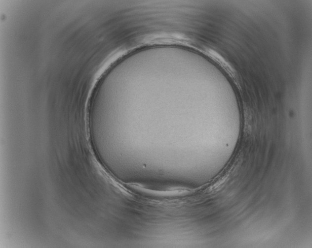 X0000073721384200608241221