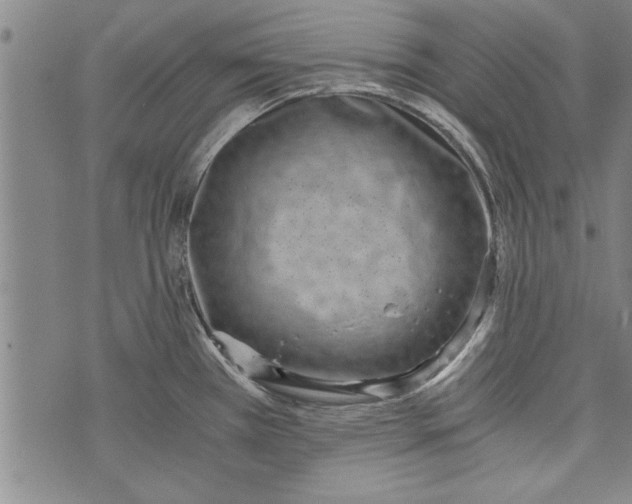 X0000073721385200608241221