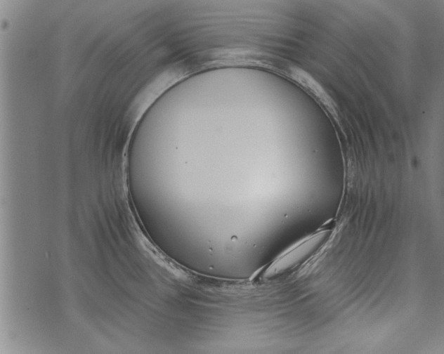 X0000073721386200608241221