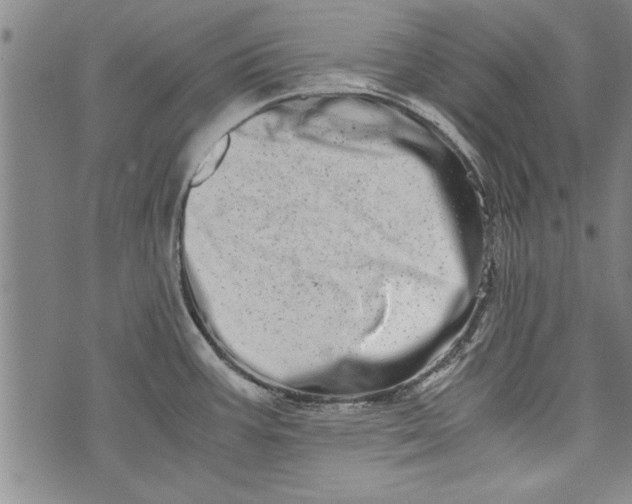 X0000073721387200608241221