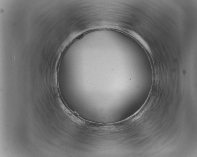 X0000073721388200608241221