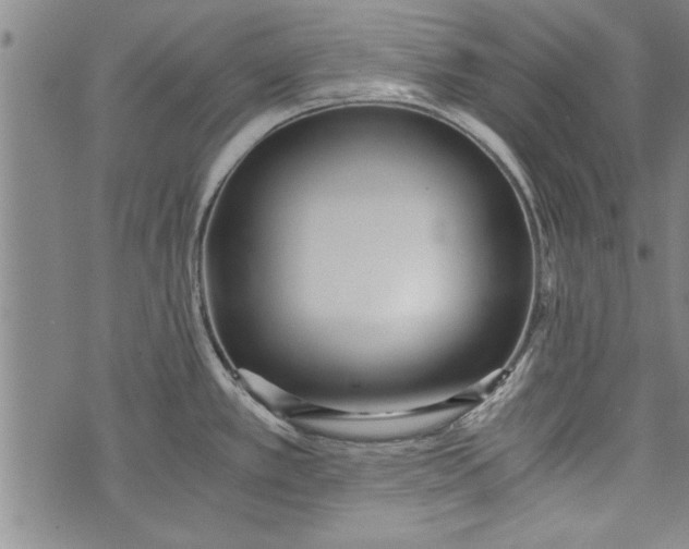 X0000073721389200608241221