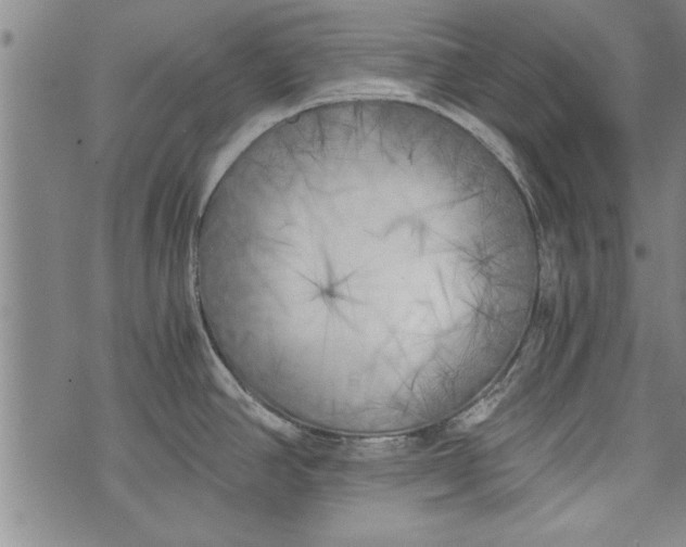 X0000073721390200608241221