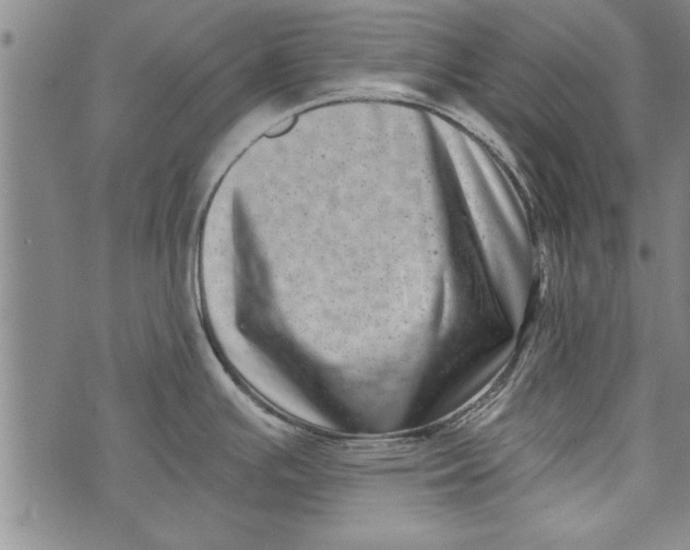 X0000073721391200608241221