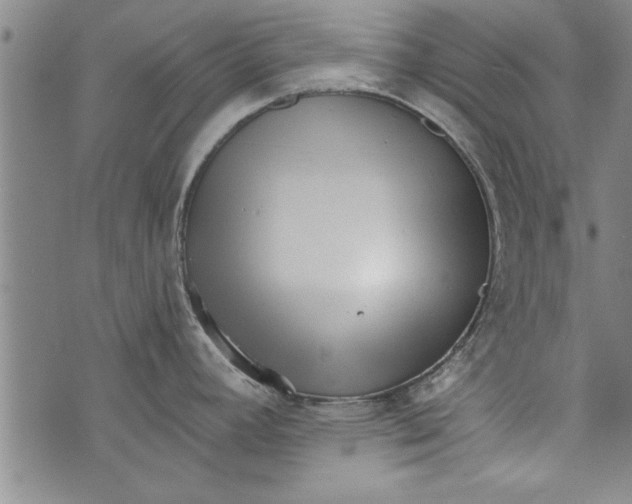 X0000073721392200608241221