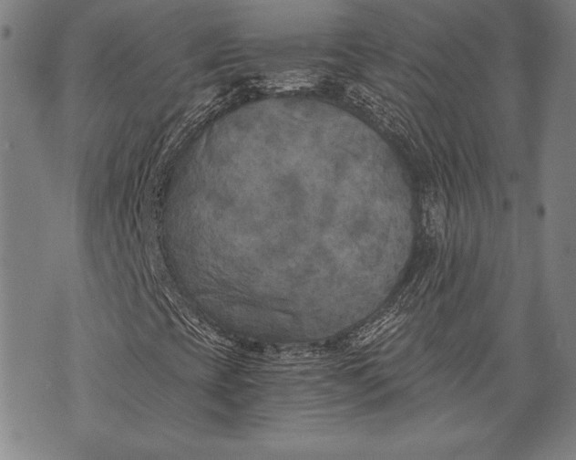 X0000073721393200608241220