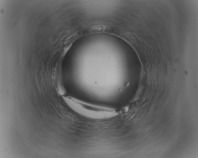 X0000073721394200608241220