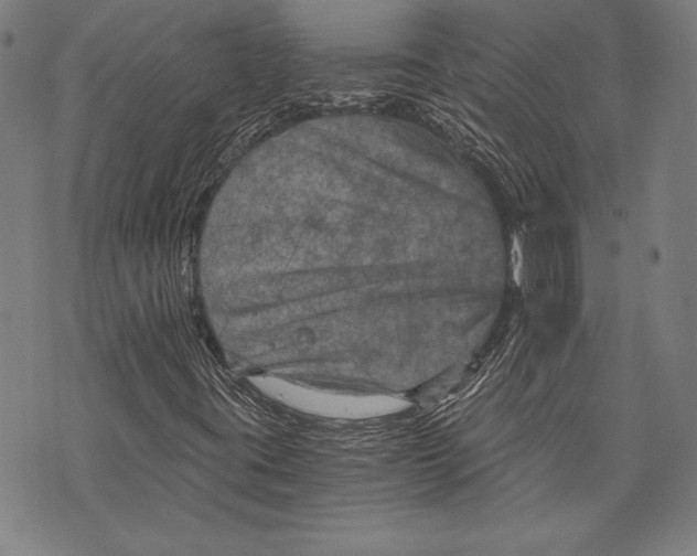 X0000073721395200608241220