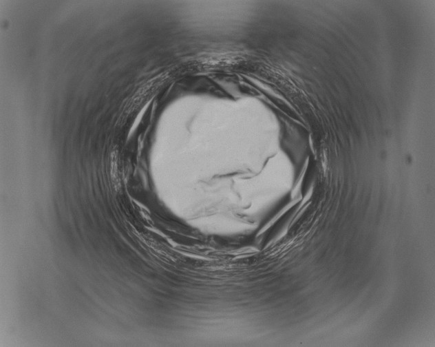 X0000073721396200608241220