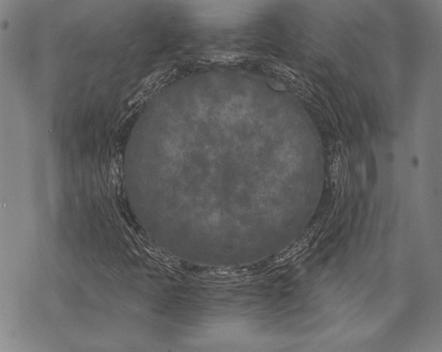 X0000073721397200608241220