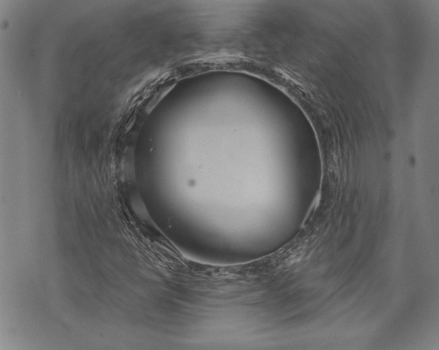 X0000073721398200608241220