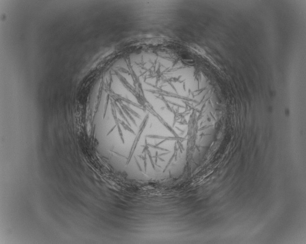 X0000073721399200608241220