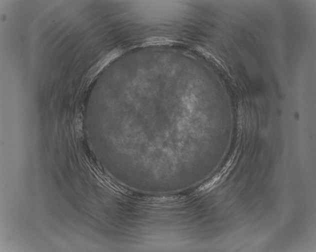 X0000073721401200608241220