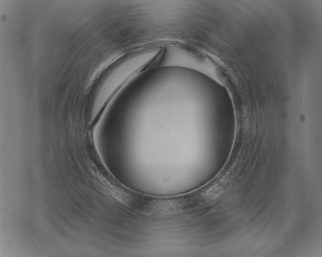 X0000073721402200608241220