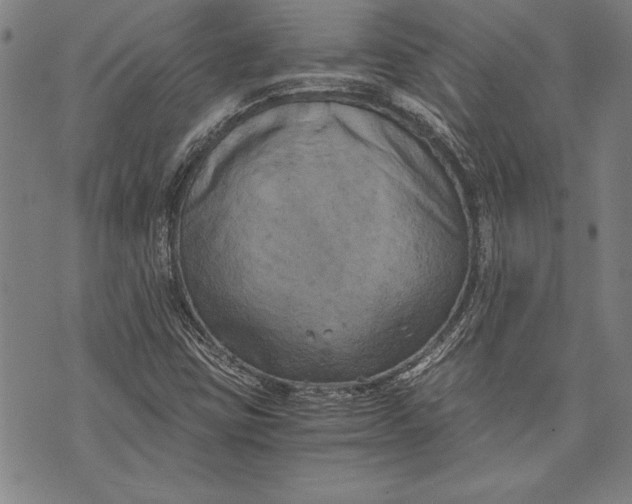 X0000073721403200608241220