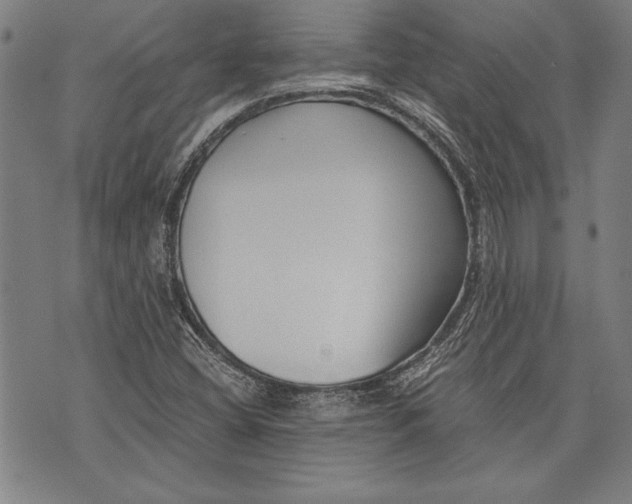 X0000073721404200608241220