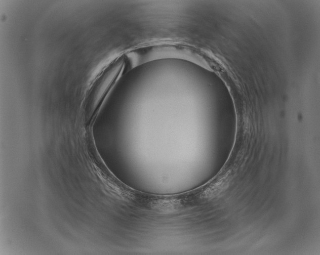 X0000073721406200608241220