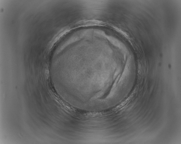 X0000073721407200608241220