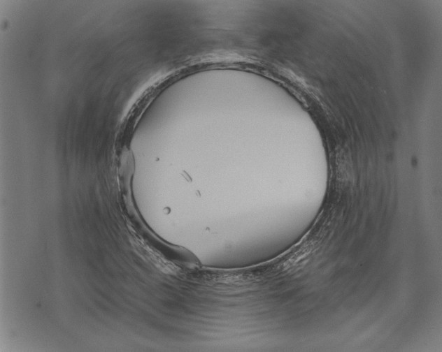 X0000073721408200608241220