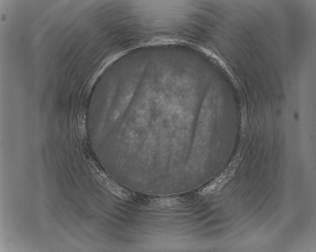 X0000073721409200608241220