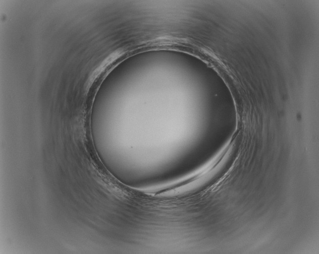 X0000073721410200608241220