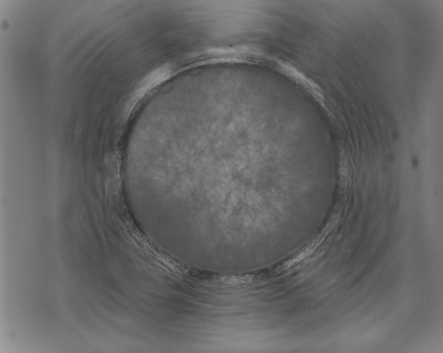 X0000073721411200608241220