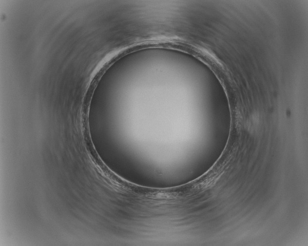 X0000073721412200608241220