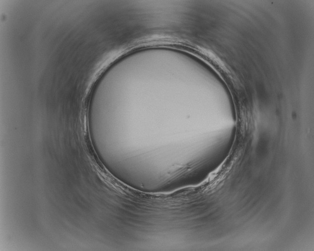 X0000073721413200608241220