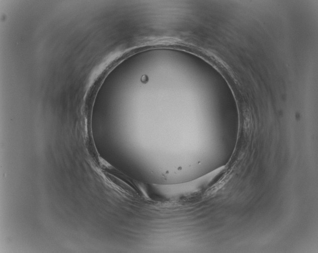 X0000073721414200608241220