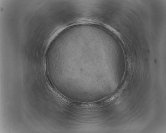 X0000073721415200608241220