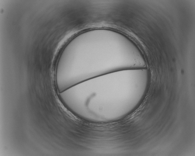 X0000073721416200608241220