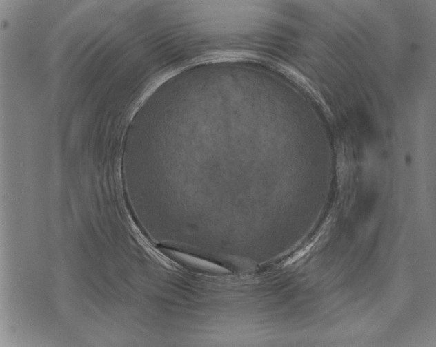 X0000073721417200608241220