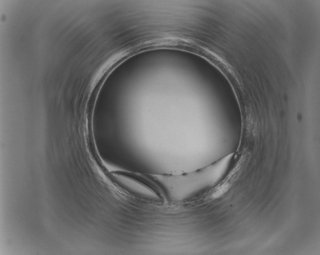 X0000073721418200608241220