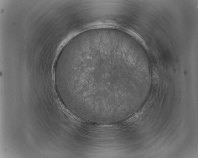 X0000073721419200608241220