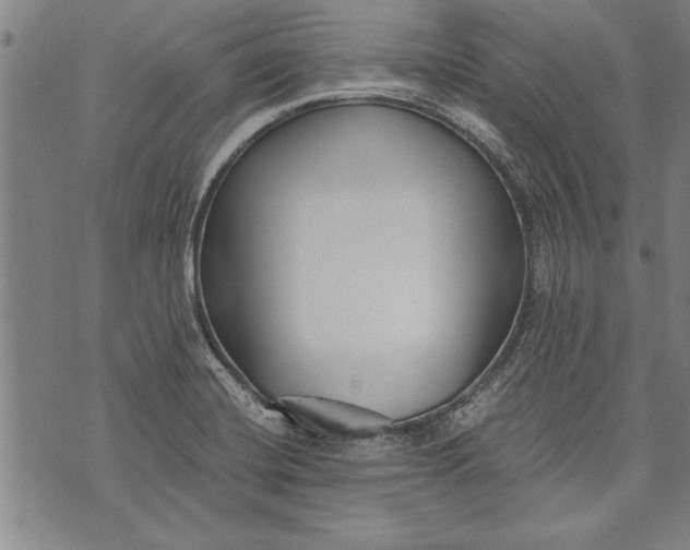 X0000073721420200608241220