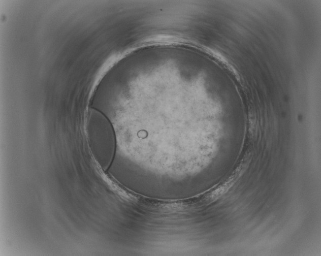 X0000073721421200608241220