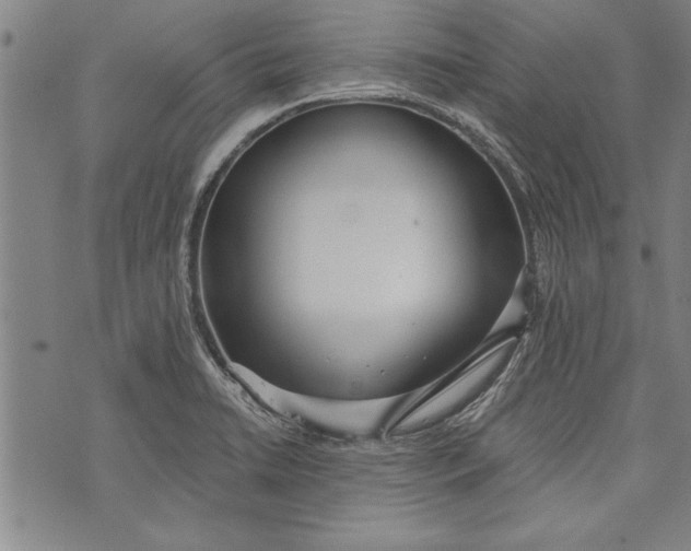 X0000073721422200608241220