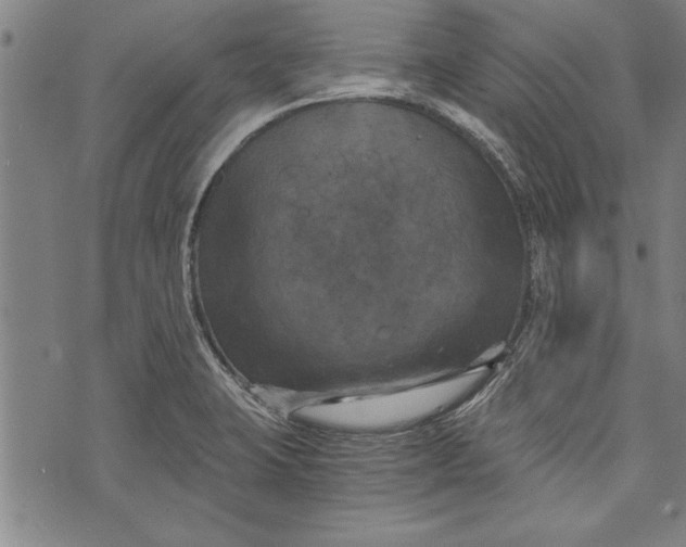 X0000073721423200608241221