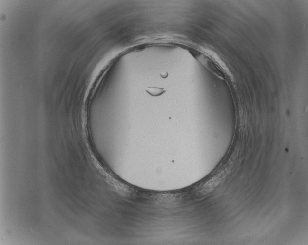 X0000073721424200608241221