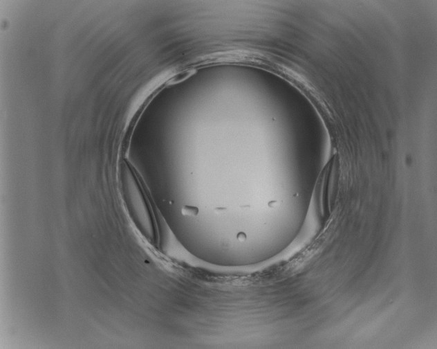 X0000073721426200608241221