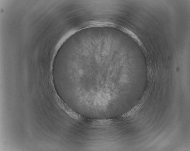 X0000073721427200608241221