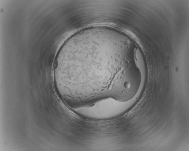 X0000073721428200608241221