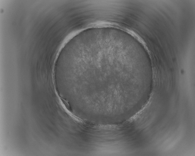 X0000073721429200608241221